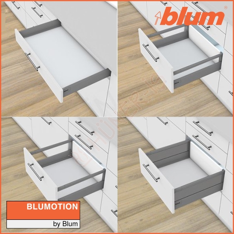 BLUM ANTARO RAY resmi